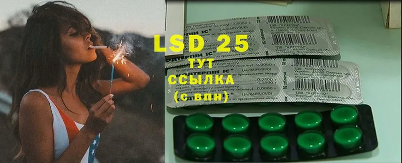 LSD-25 экстази кислота  Малая Вишера 